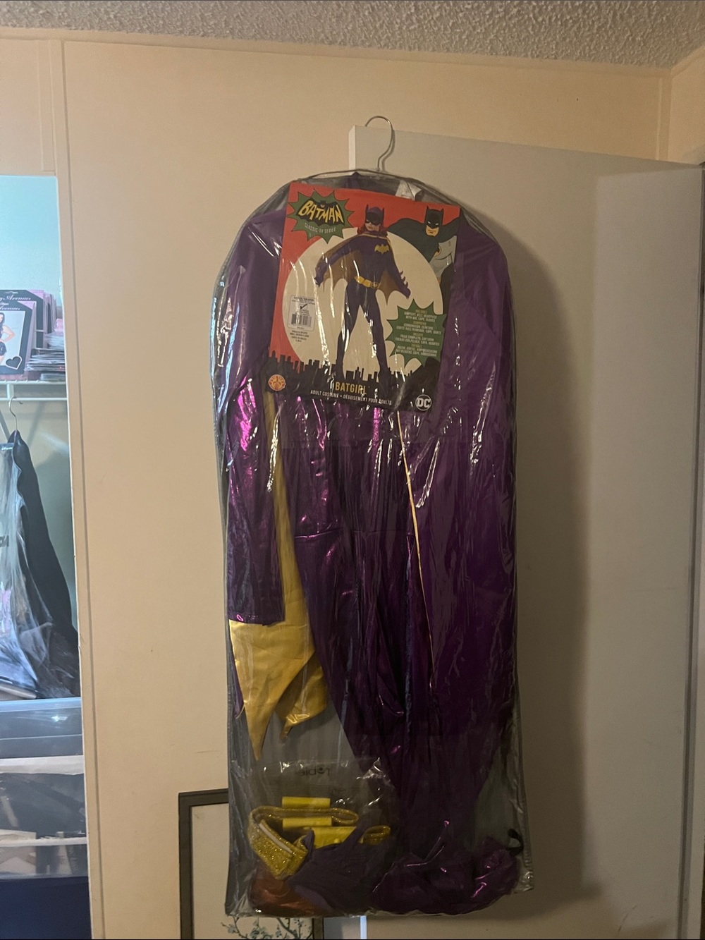 DC Batgirl Purple and Yellow womens Superhero Costumes